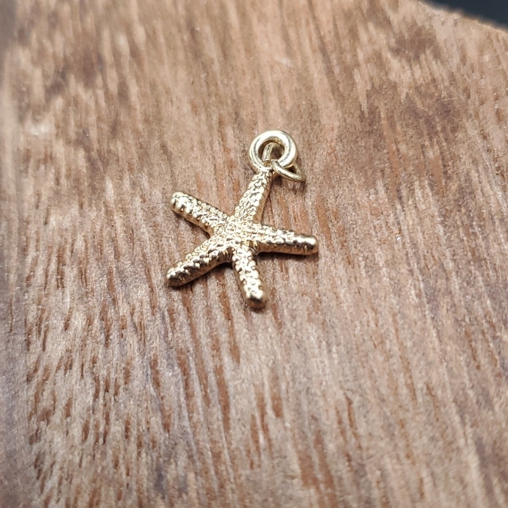 Beach‎ starfish charm